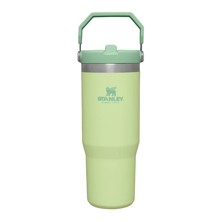 Stanley Everyday Tumbler 0.29L Hammertone Green