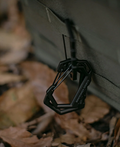 Cargo Container Hard Carabiner D - Medium, Carabiners, - Outdoor Kuwait